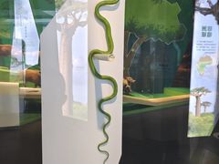 -长江文明馆