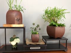 -上海观复博物馆