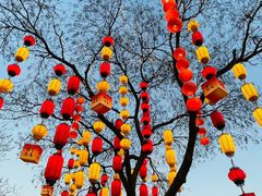 -杨家埠民间艺术大观园
