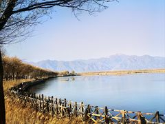 -野鸭湖国家湿地公园