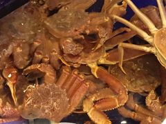 -蟹道乐(道顿堀本店)