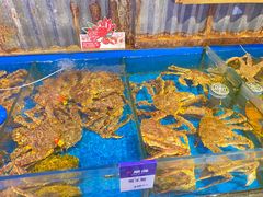 -开海·红岛海鲜虾水饺(石老人店)