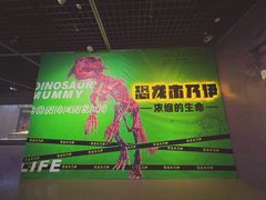 -台州博物馆