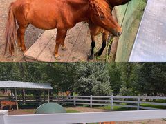 -哈尔滨北方森林动物园