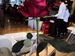 -IL Forno 意坊·意大利餐厅(温州万象城店)