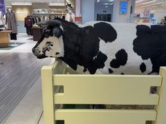 -红星前进面包牛奶公司(君太店)