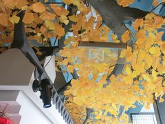 -食悦江南·淮扬菜·烤鸭(亚运村·惠新店)