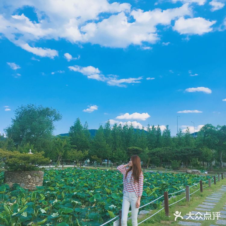 京畿道📍세미원 🚴‍♀️周末骑行