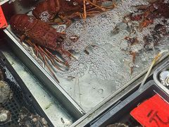 -湛江渔港·大排档(乐园路总店)