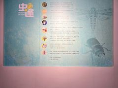 -烟台市博物馆