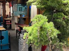 -和府捞面(北美新天地店)