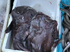 -芦潮港集贸市场