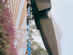 -成飞公园