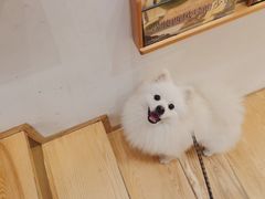 -猫的天空之城概念书店(苏州平江店)