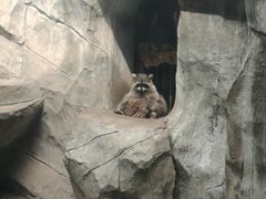 -南昌动物园