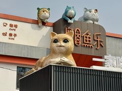 -向外鱼乐·土菜·虹鳟鱼