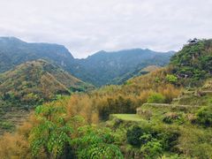 -林坑古村落