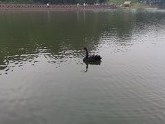 -张钰强中医正骨推拿连锁(唐家人才公寓店)