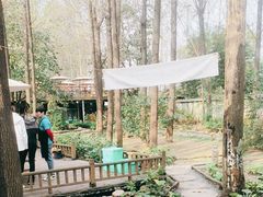 -林间山庄