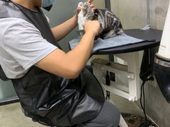 -PETKIT小佩宠物·低压洗护(国顺东路店)