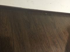 -商丘市人民公园