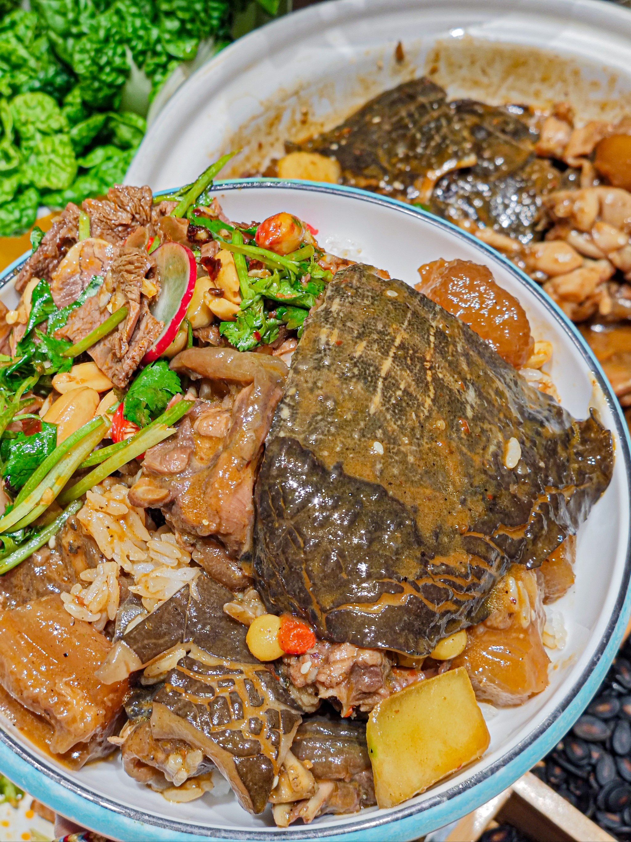 ‼️这一碗甲鱼拌饭的饭张力·谁懂啊👀