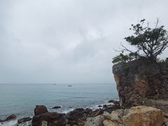 -杨梅坑