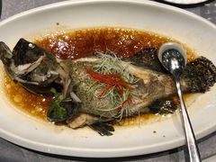 -九朝会昆曲·宴(望京店)