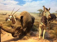 -陕西自然博物馆