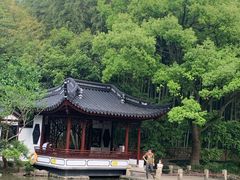 -汇龙潭
