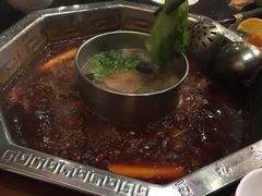 -蜀九香火锅(九眼桥店)