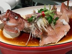 -千灯盛汇·头牌粤菜(致越优城店)