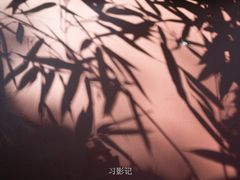 -望江楼公园