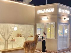 -Blue Concept Cafe&Farm·關於藍