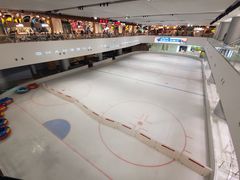 -TheRink大零溜冰场(IFS国金中心店)