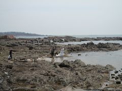 风景-青岛第二海水浴场