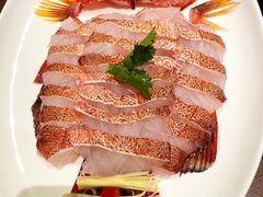 东星斑-协成海鲜火锅(海洋花园店)