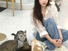 -喵园·猫主题咖啡厅·撸猫·猫咖(国贸店)