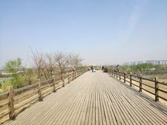 -汉长安城未央宫国家考古遗址公园