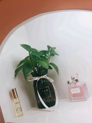 -美肤盾祛痘·问题肌头疗管理中心