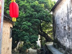 -塔川景区