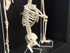 -TOP健身私教工作室(侨香店)