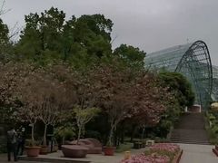 -南山植物园