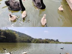 -宁波野生动物园