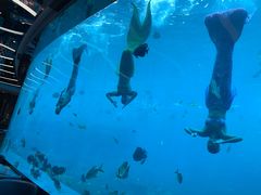 -瑞德姆美人鱼海底演艺主题餐厅(亚龙湾店)