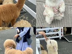 -浙江国际赛车场