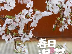 -龙美术馆(西岸馆)