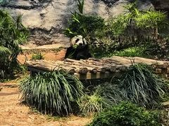 -石排湾郊野公园