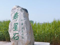 -白洋淀景区