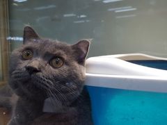 -乐宠宠物店(世纪金源店)